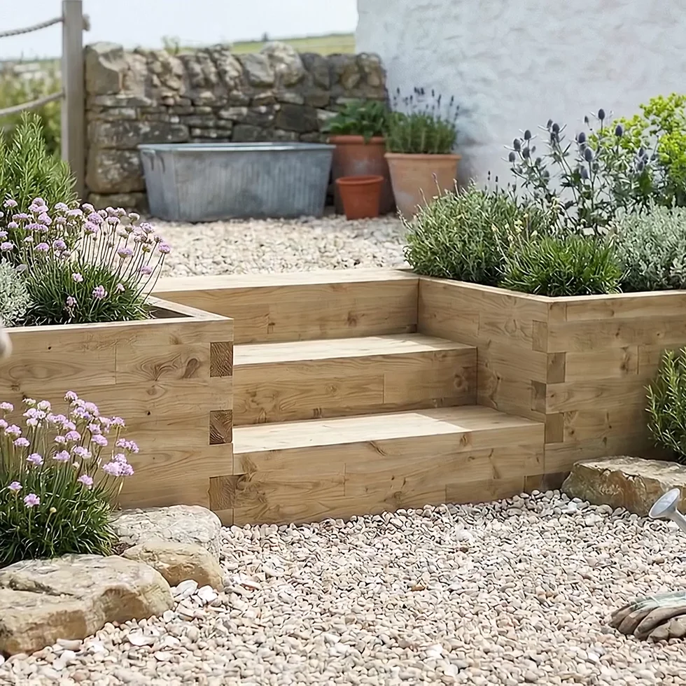 Standard Steps
