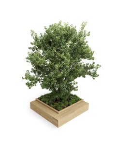 Dřevěný záhon s lavičkou a prostorem pro strom / 2,7 x 2,7 x 0,55m