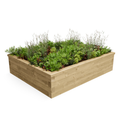 Raised Garden Box