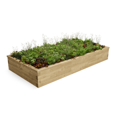 Large Wide Raised Bed CGI