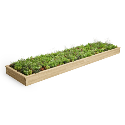 Extra Large Raised Bed CGI