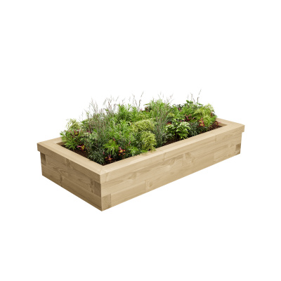 Little Herb Garden 1