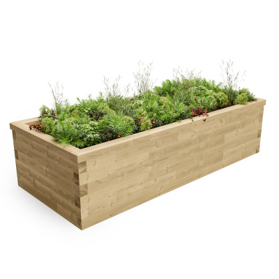 Raised Bed