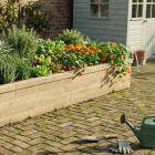 Vegetable Bed / 3.0 x 1.125 x 0.45m