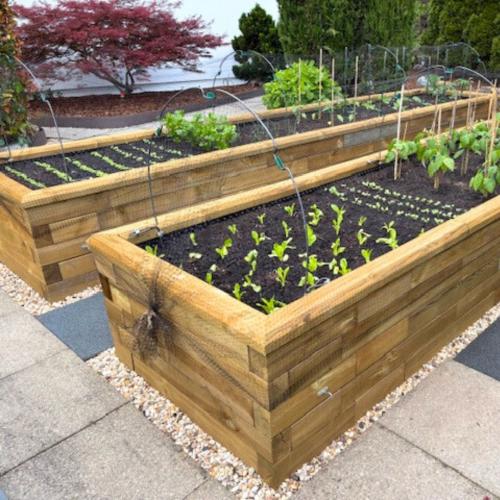 Zeleninová zahrádka Antonia & Loren