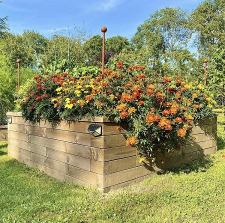 Nápady na vysoké vyvýšené záhony, které posunou vaši zahradu vpřed