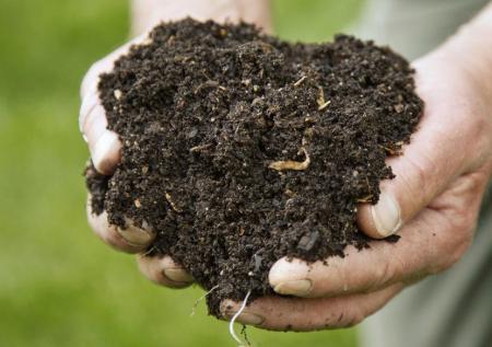 Kompost - jak na něj?