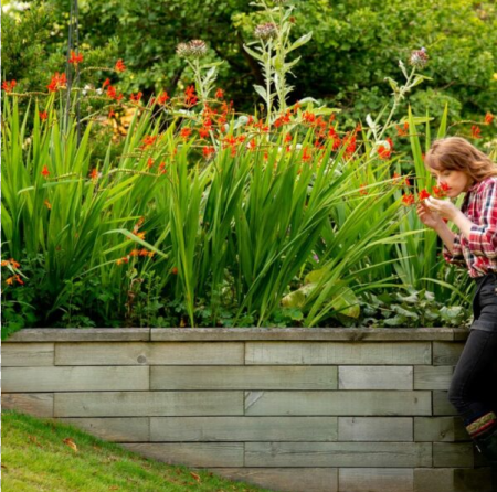 Jak vytvořit zahradu pro včely a motýly s WoodBlocX