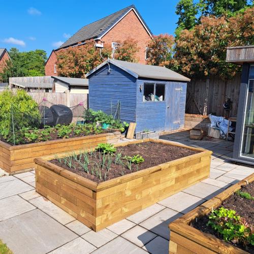 Jak sklízet hodně zeleniny?