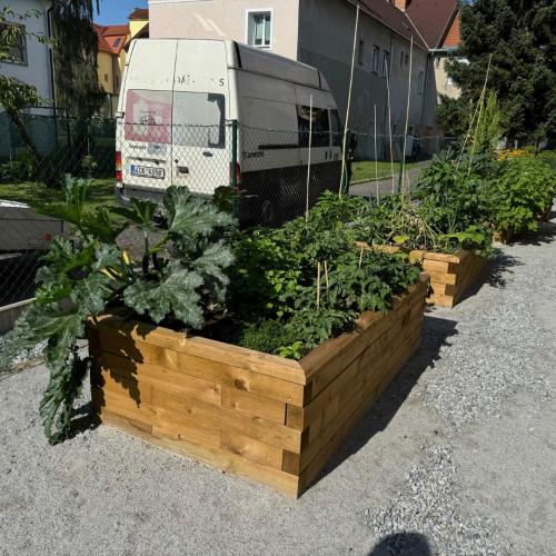 Pečovatelský dům Protivín – užitková zahrádka s posezeními