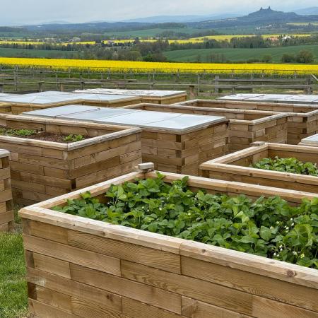 Království vyvýšených záhonů WoodBlocX v Českém ráji – inspirace a realizace
