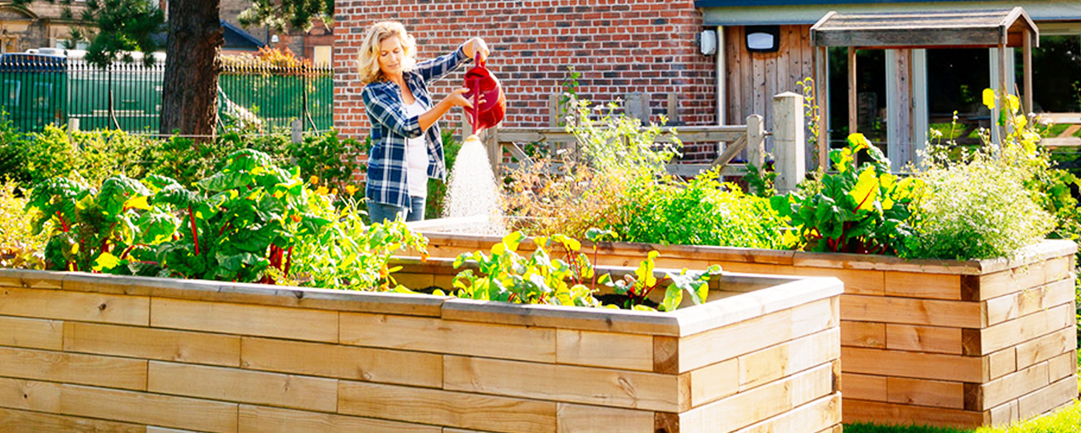 raised beds