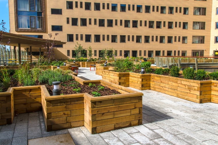 WoodBlocX pro komerční projekt