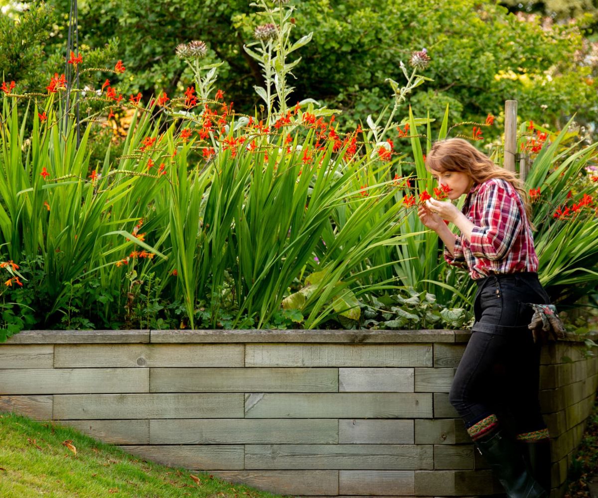Flowers-growing-in-raised-border (1)