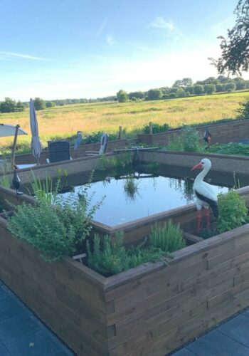 Koi-pond-ideas-1-1024x1024