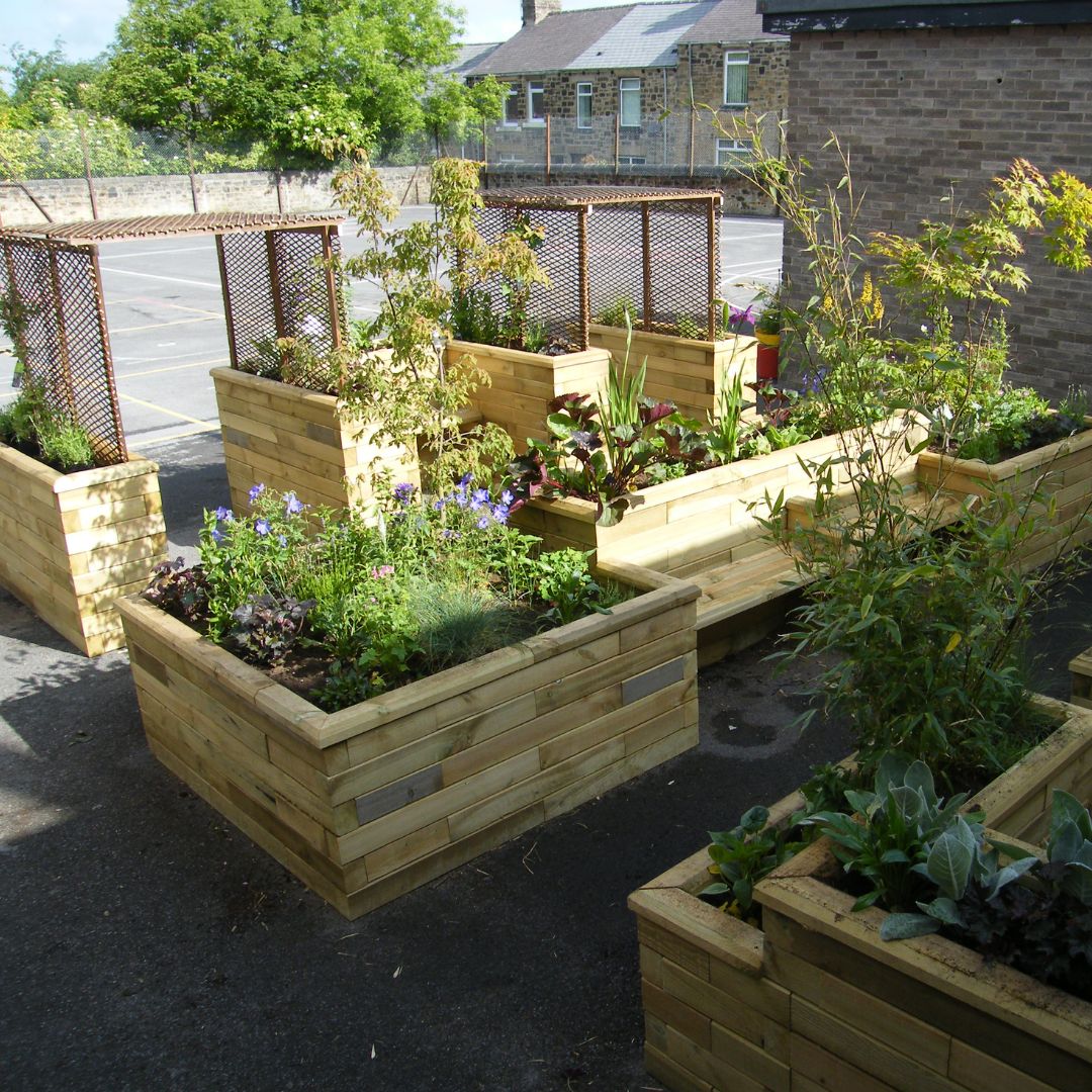 Untitled design - 2024-05-07T120353.206