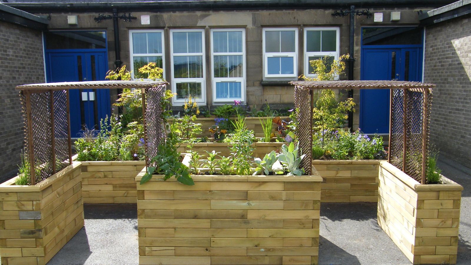 WoodBlocX x schools (1)