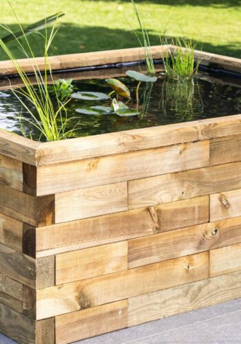 Kevs-rasied-pond (1)